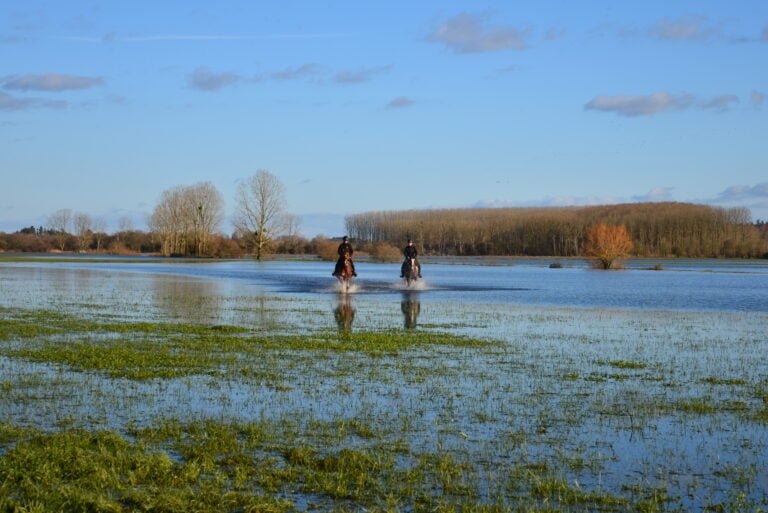 photo été balade