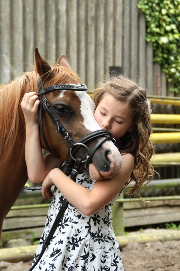 pony, girl, horse, child, animal, hobby, nature, cute, coupling, horse riding, summer, pony riding, love for animals